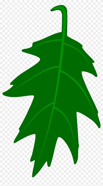 Ivy Clipart Big Leaf - Green Oak Leaf Clip Art