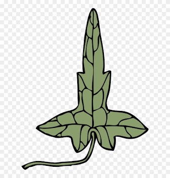 Ivy Leaf Clip Art Download - Clip Art