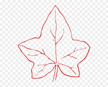 Ivy Leaf Clip Art - Outline Of Fall Leaf