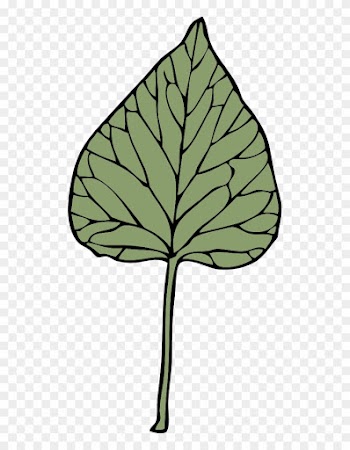 Ivy Leaf Clip Art Vines Leaves Growing G2ov3s Clipart - Clip Art