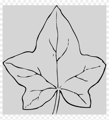 Ivy Leaf Clipart Free