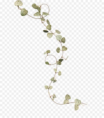 Ivy Leaf Flower - Ivy leaves 