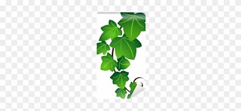 Ivy Leaf Vecotr