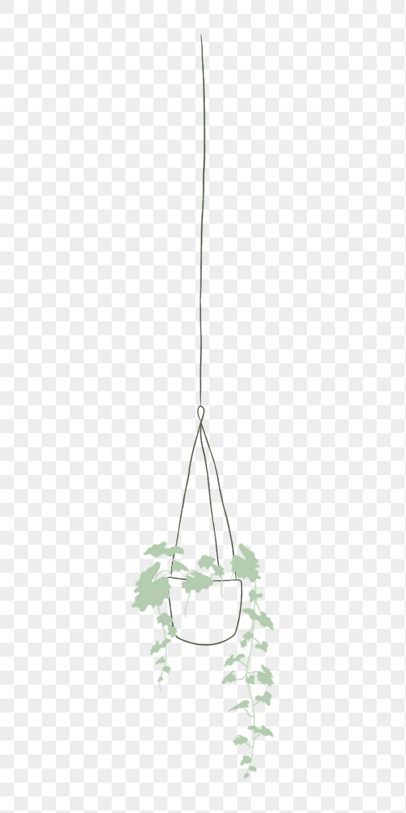 Ivy png doodle houseplant sticker, | Free PNG - rawpixel