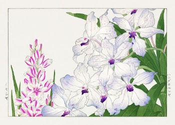 Ixia flower, Japanese woodblock art | Free Photo Illustration - rawpixel
