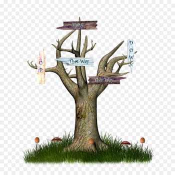 Izuku Midoriya, Tree, Candle Magick, Woody Plant PNG