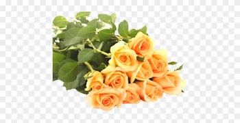 Ja Альбом «цветы В Png / Клипарт - Good Morning Wishes With Yellow Roses