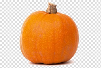 Jack-o'-lantern Calabaza Gourd Pumpkin Cucurbita pepo, pumpkin transparent background PNG clipart