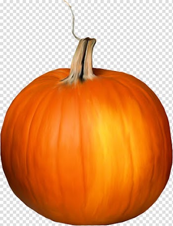 Jack-o-lantern Calabaza Pumpkin Gourd, Old orange pumpkin transparent background PNG clipart