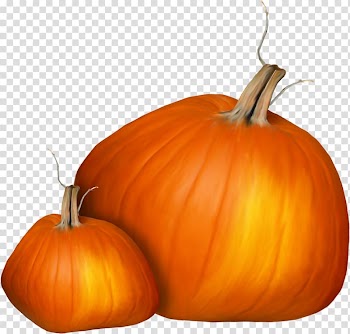 Jack-o'-lantern Calabaza Pumpkin Gourd Squash, pumpkin transparent background PNG clipart