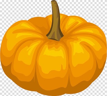 Jack-o-lantern Calabaza Pumpkin Gourd Winter squash, Pumpkin material transparent background PNG clipart
