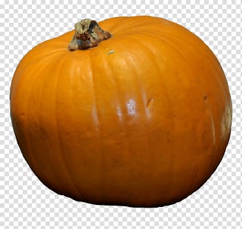 Jack-o'-lantern Calabaza Pumpkin Winter squash Gourd, pumpkin transparent background PNG clipart