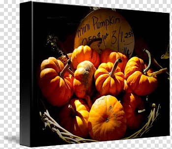 Jack-o'-lantern Calabaza Winter squash Gourd Pumpkin, pumpkin transparent background PNG clipart
