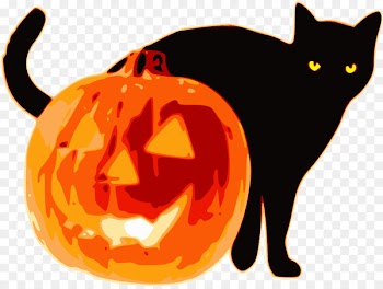 Jack-o'-lantern Clip art Portable Network Graphics Halloween Pumpkins - pumpkin 