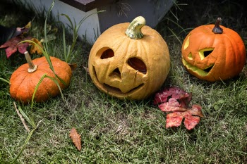 Jack-o-lantern Decor