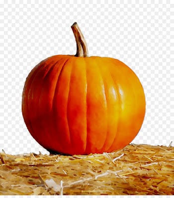 Jack-o'-lantern Gourd Pumpkin Winter squash -  
