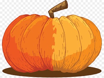 Jack-o'-lantern Gourd Pumpkin Winter squash Calabaza - pumpkin 