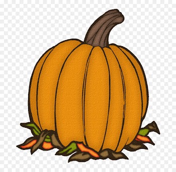 Jack-o'-lantern Gourd Pumpkin Winter squash Calabaza - pumpkin 