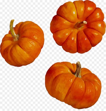 Jack-o'-lantern Gourd Pumpkin Winter squash Vegetarian cuisine -  