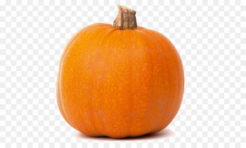 Jack-o'-lantern Pumpkin Butternut squash Winter squash Cucurbita maxima - pumpkin 