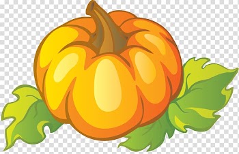 Jack-o'-lantern Pumpkin Calabaza Gourd , pumpkin transparent background PNG clipart
