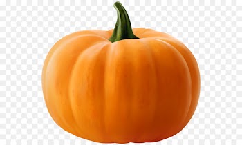 Jack-o'-lantern Pumpkin Clip art Stock photography Image - pumpkins badge 