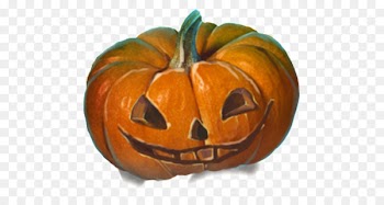 Jack-o'-lantern Pumpkin Gourd Cucurbita Halloween - pumpkin 