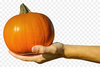 Jack-o-lantern Pumpkin - Hand Holding Orange Pumpkin 