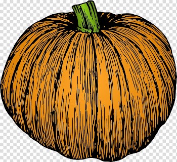 Jack-o'-lantern Pumpkin pie Gourd Calabaza, pumpkin transparent background PNG clipart