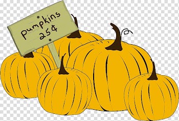Jack-o'-lantern Pumpkin Time Winter squash Gourd, Pumpkin drawing transparent background PNG clipart