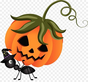 Jack-o'-lantern Pumpkin Vector graphics Halloween - kabocha 