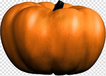 Jack-o\'-lantern Pumpkin Winter squash , pumpkin transparent background PNG clipart