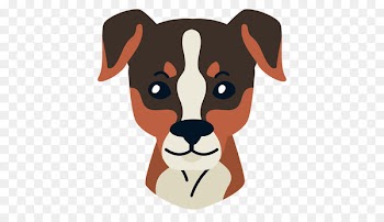 Jack Russell Terrier Brazilian terrier Puppy Parson Russell Terrier Cavalier King Charles Spaniel - puppy 