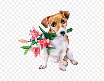 Jack Russell Terrier Flower bouquet Beagle Floral design - flower 