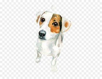 Jack Russell Terrier Watercolor painting Art - Macular white puppy 
