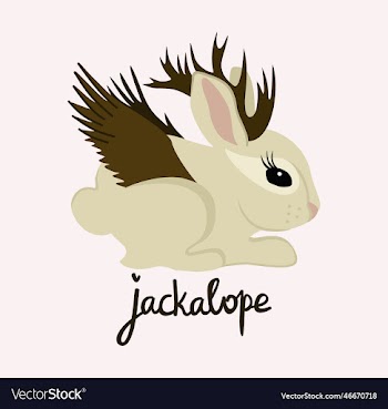 jackalope
