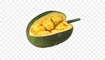 Jackfruit Cempedak Tropical fruit Food - jackfruit 