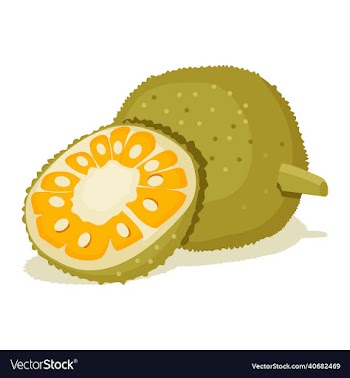 jackfruit fruit