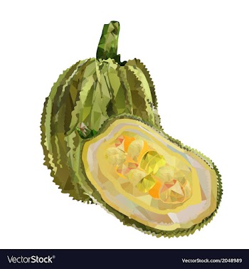 Jackfruit polygonales vector image