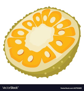 jackfruit sliced fruit