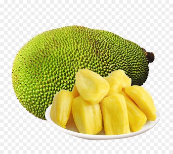 Jackfruit Tmall JD.com - A jackfruit 
