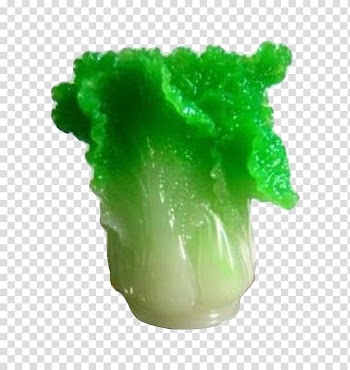 Jadeite Cabbage Red cabbage White cabbage, White cabbage transparent background PNG clipart
