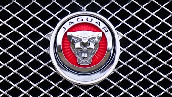 Jaguar Emblem