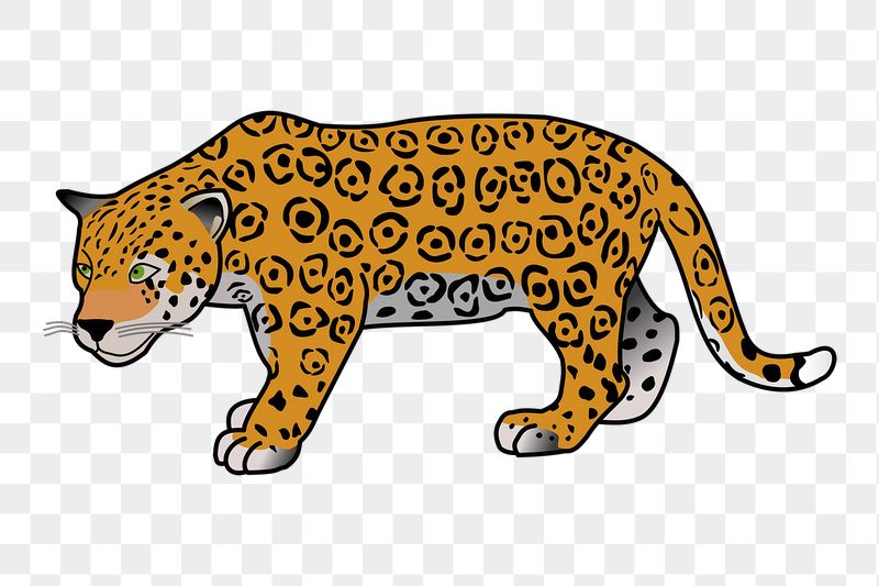 Jaguar tiger png sticker, animal | Free PNG - rawpixel