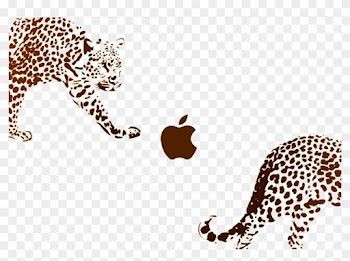 Jaguar Vs Leopard Cheetah Animal Print Chart People - Guepardo Para Pintar