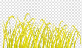 Jakarta Hong Kong Thailand Singapore Association of Southeast Asian Nations, Rice transparent background PNG clipart