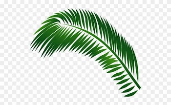 Jamaica Clipart Palm Tree - Leaf