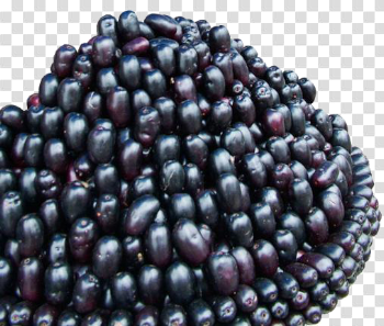 Jamun Java Plum Image
