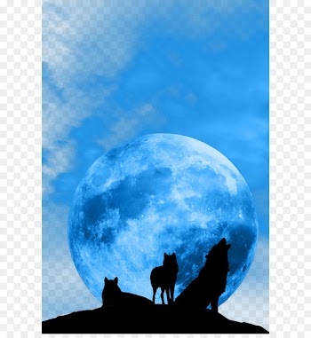 January 2018 lunar eclipse Blue moon Supermoon Full moon - wolf 