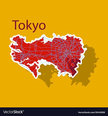 Japan tokyo - top view map showing streets design vector image